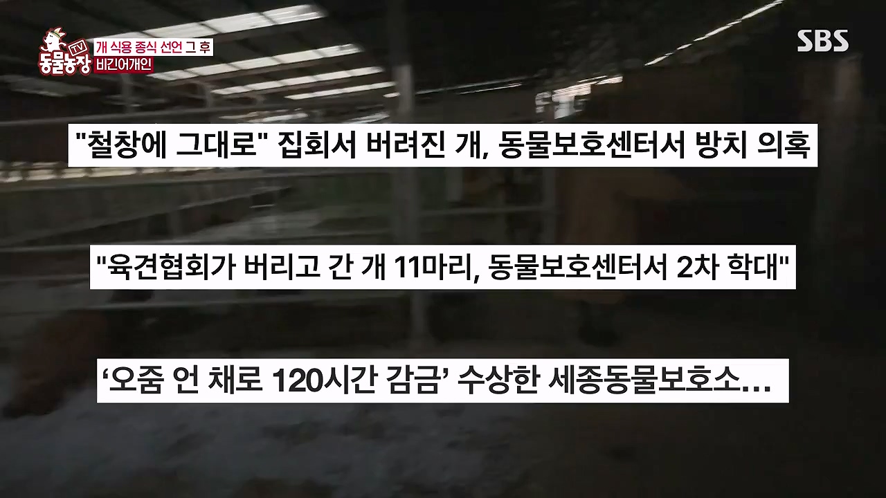 TV 동물농장.E1187.240902p-NEXT.mp4_20240901_155506.739.jpg