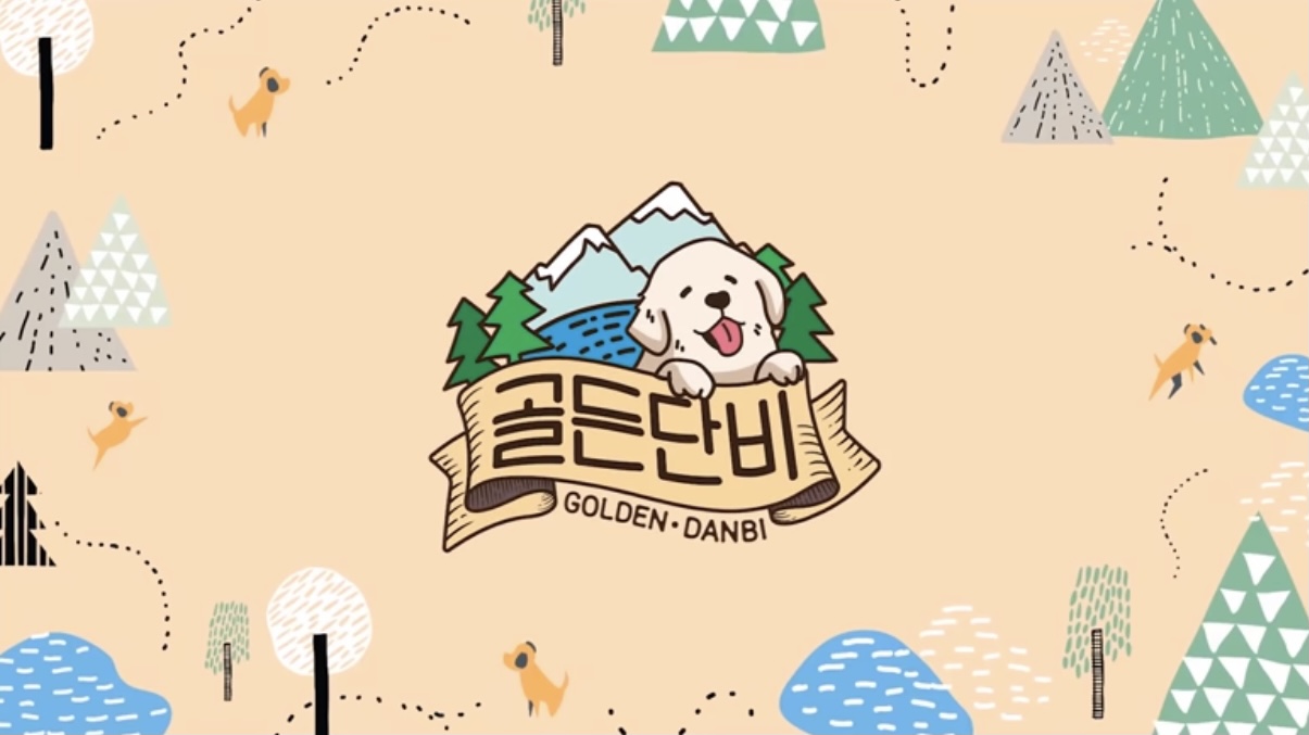  아기동생을 처음 만난 골든 리트리버 영상