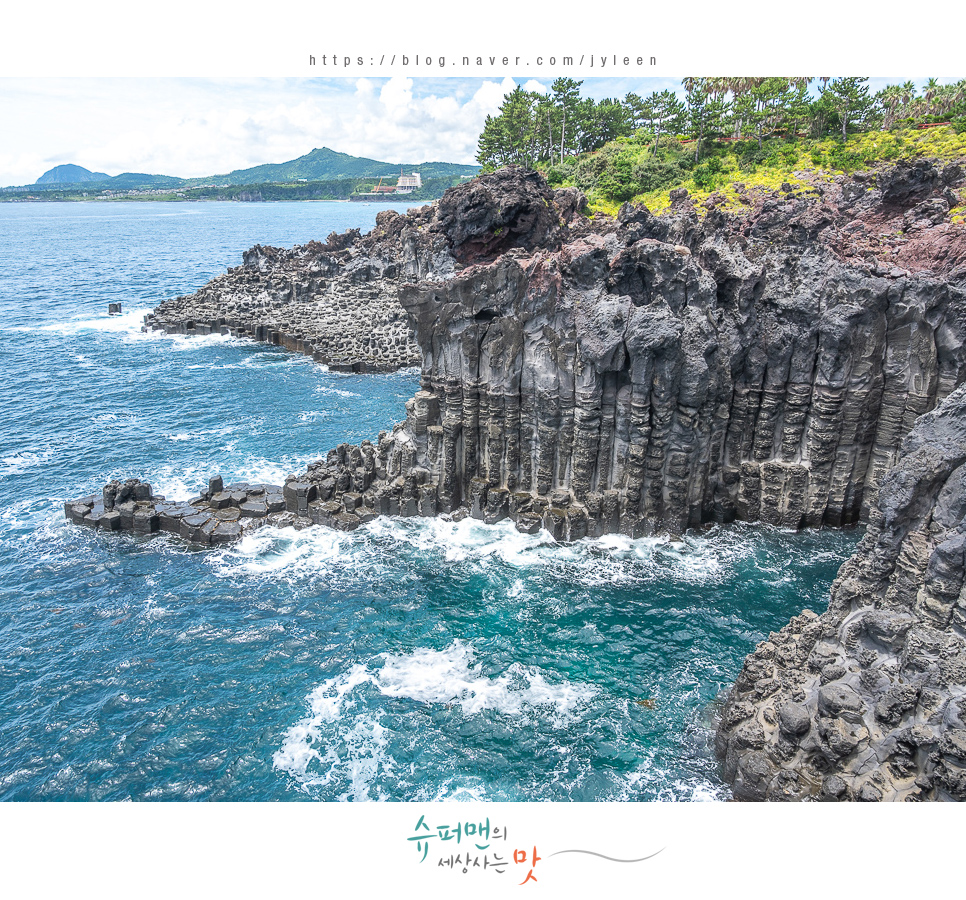 승합차렌트 제주도 5