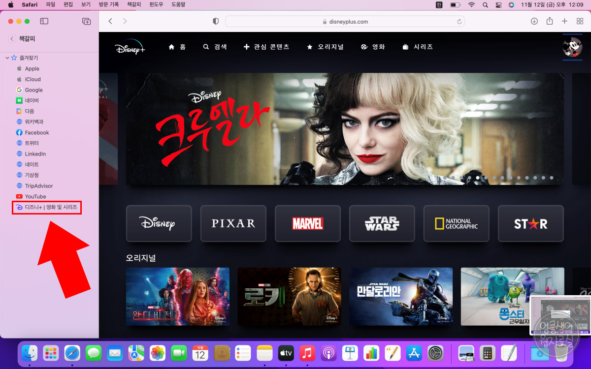 사파리 즐겨찾기