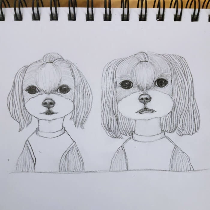 나란히 있는 강아지 두마리 그림