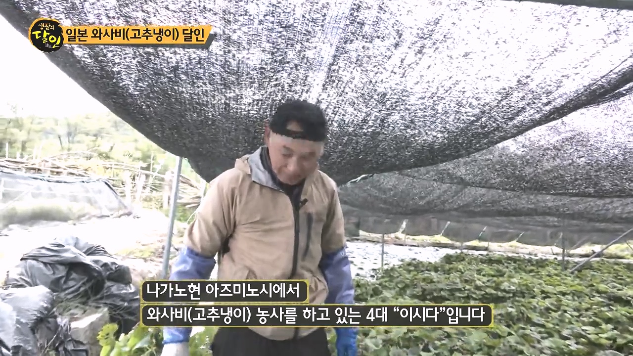 생활의 달인.E908.231017p-NEXT.mp4_20231017_200051.838.jpg
