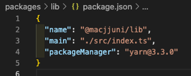 프로젝트 packages/lib/package.json