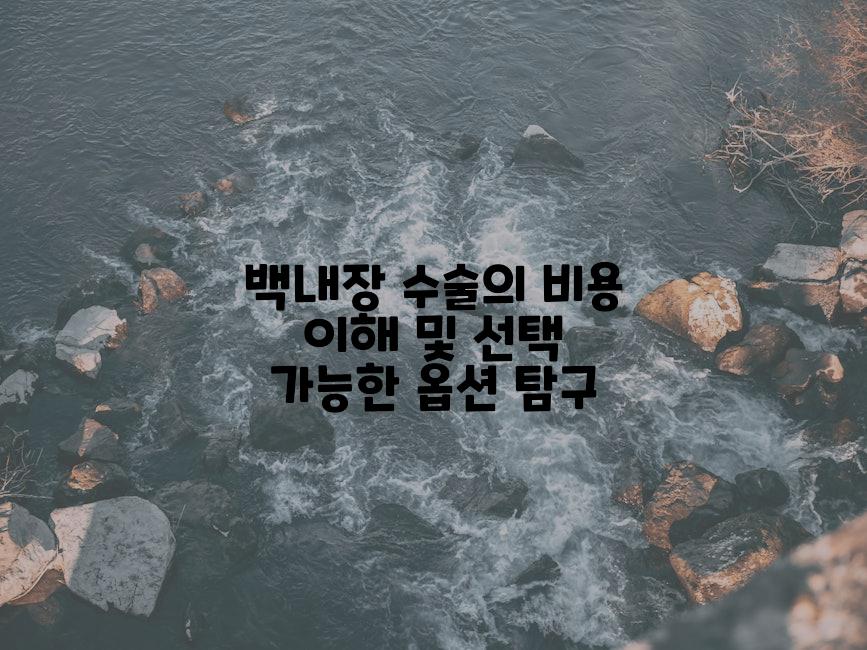백내장 수술의 비용 이해 및 선택 가능한 옵션 탐구