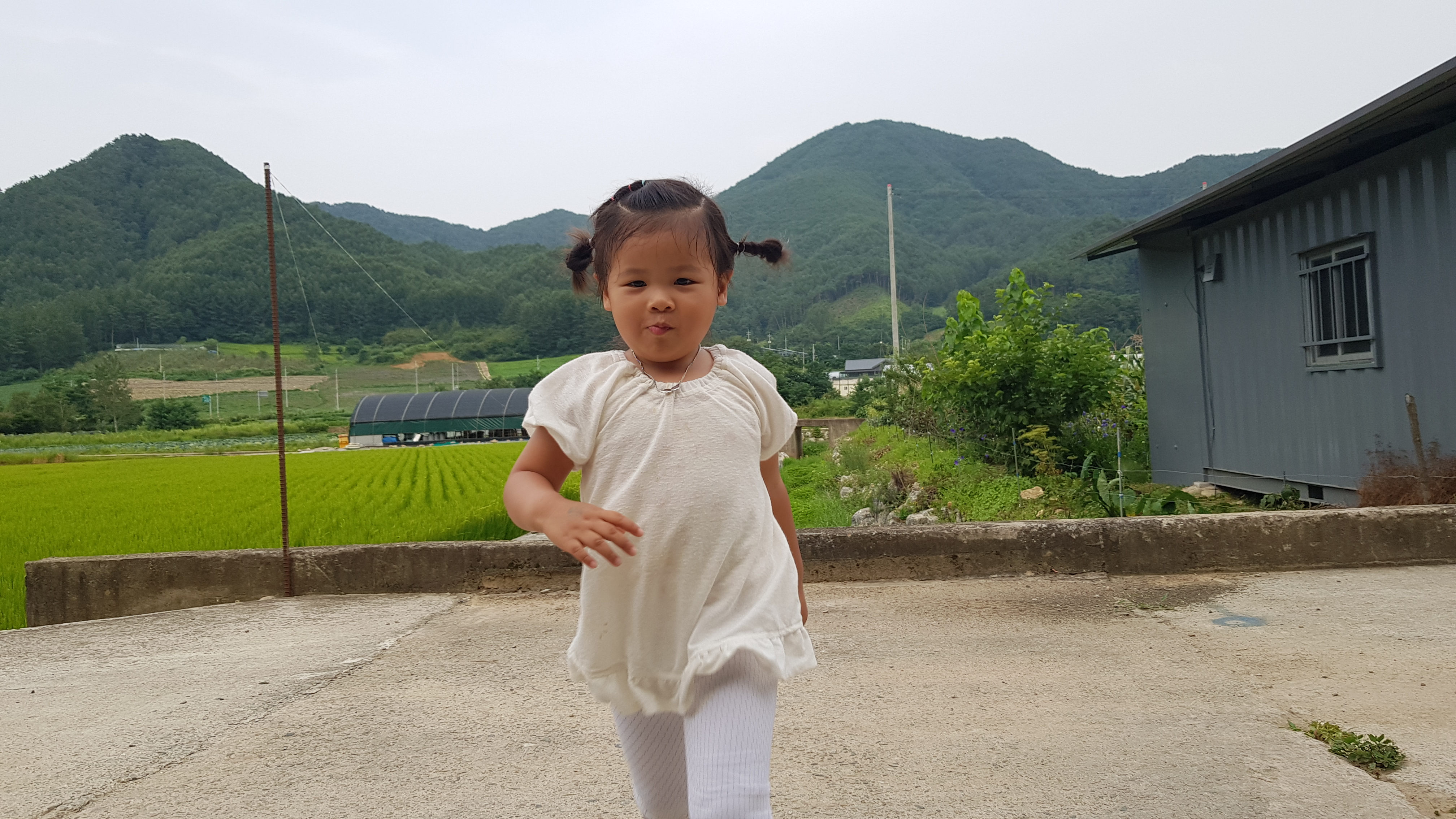 향미식당 이미지