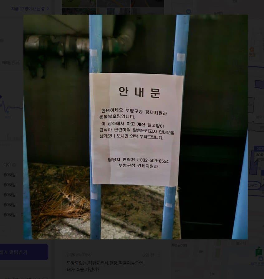  구청 안내문에 개발작하는 캣맘