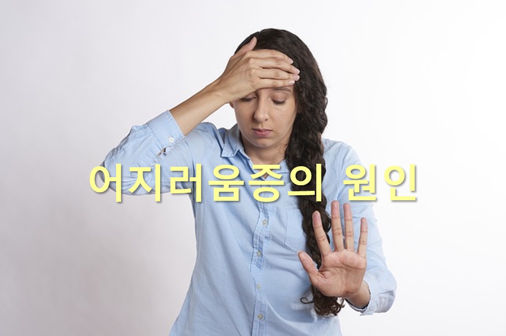  귀에 소리가 나는 이명과 어지러움증에 효과 있는 영양성분