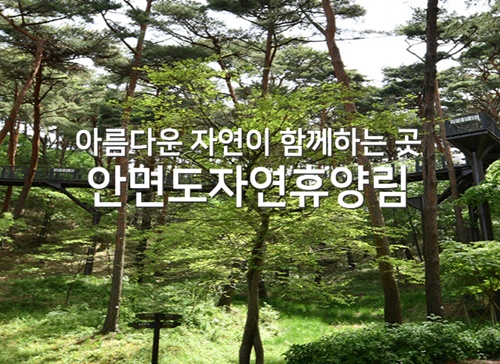 태안 가볼만한곳