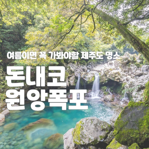  여름이면 꼭 가봐야 할 제주도 명소 "돈내코 원앙폭포"