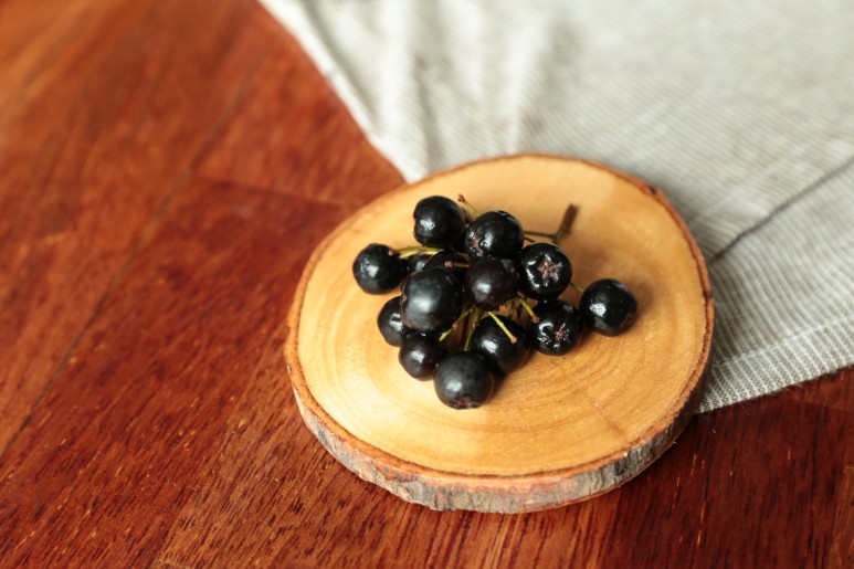 효능소개 아로니아 6