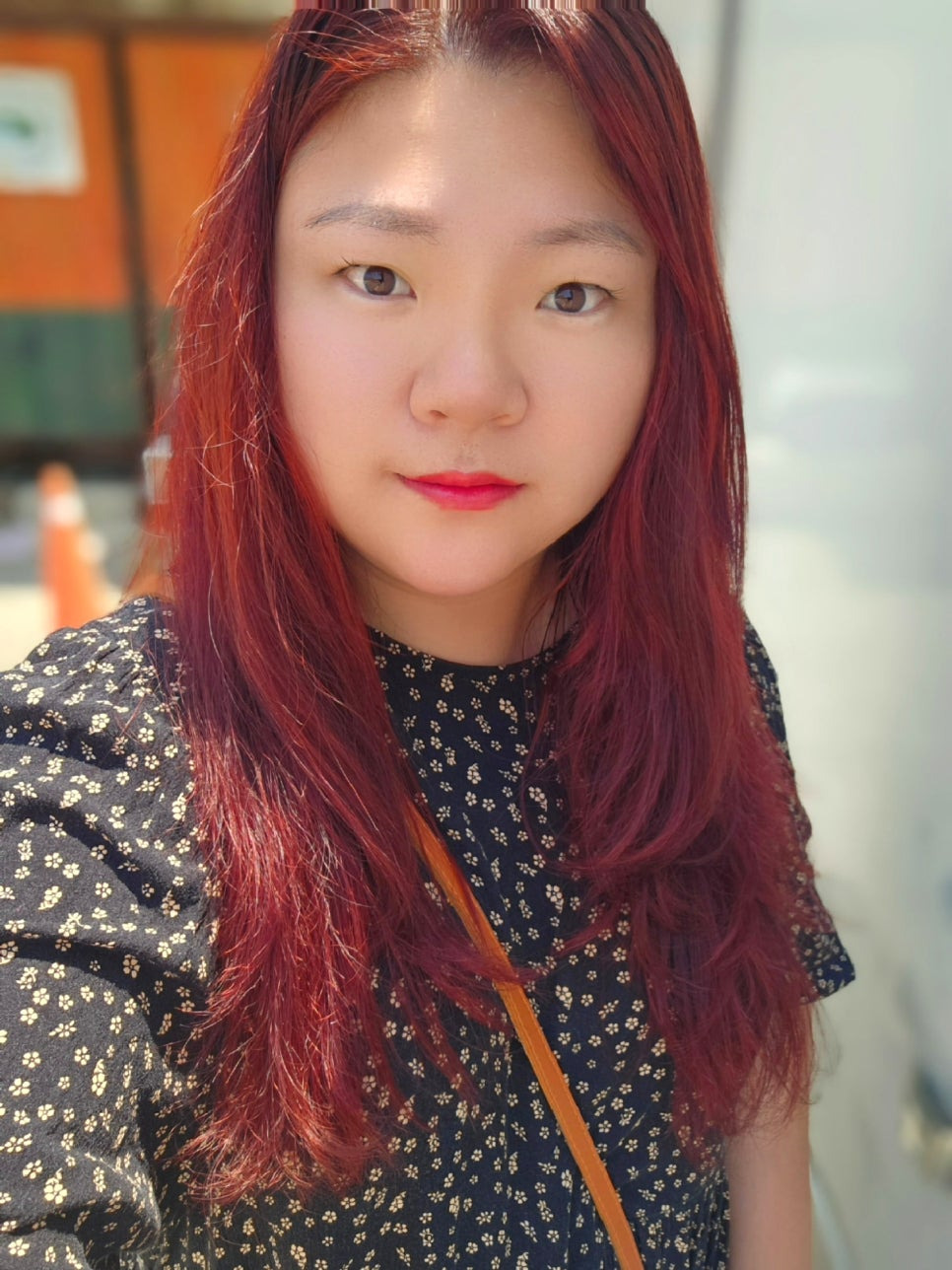 프루티지 이미지