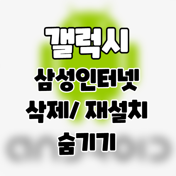  갤럭시 삼성 기본 인터넷 삭제 및 재설치 방법 / 숨기는 방법