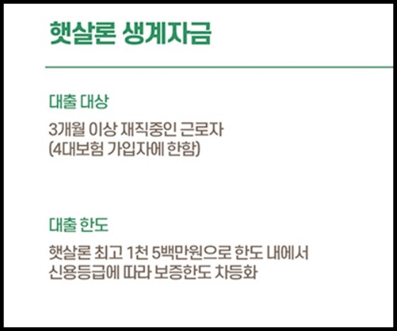 대구 자영업 정부지원서민대출 햇살론 생계 자격 저금리 신용 공무원 자영업 계약직 2
