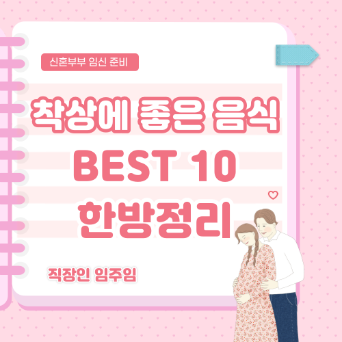  착상에 좋은 음식 BEST 10 임신 준비 기간 필수 섭취 음식 정리