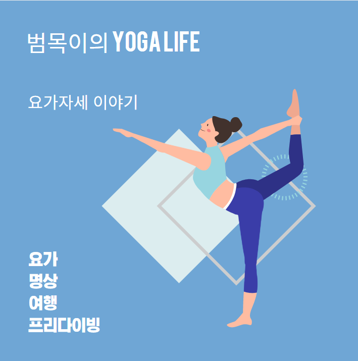 요가 자세 이야기