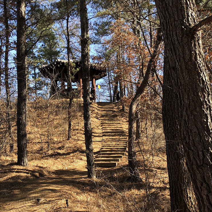 학문적이지 않음