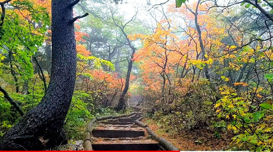  설악산 서북능선 단풍