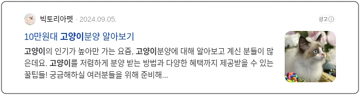 고양이 입양_3_subsection