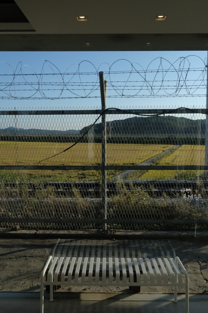 파주 포비 DMZ 철조망