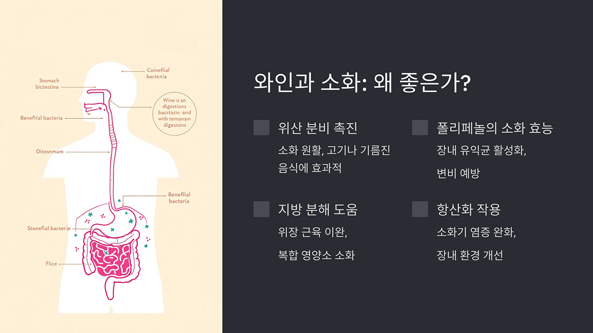 와인과 소화