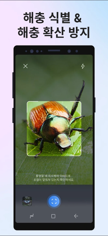 사진으로 곤충 식별, Picture Insect, 곤충 이름 찾기 어플