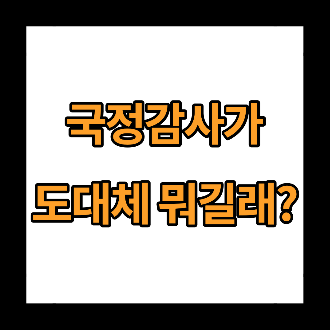  국정감사 뜻과 일정, 주요 경제 이슈 2가지에 대해서 알아보기