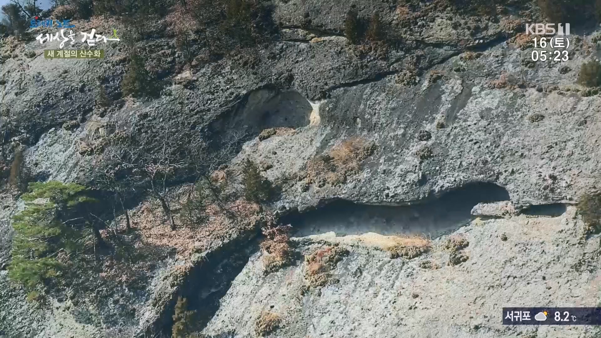 트레킹노트 세상을 걷다.E299.231216p.H264-F1RST.mp4_20240131_200352.660.jpg