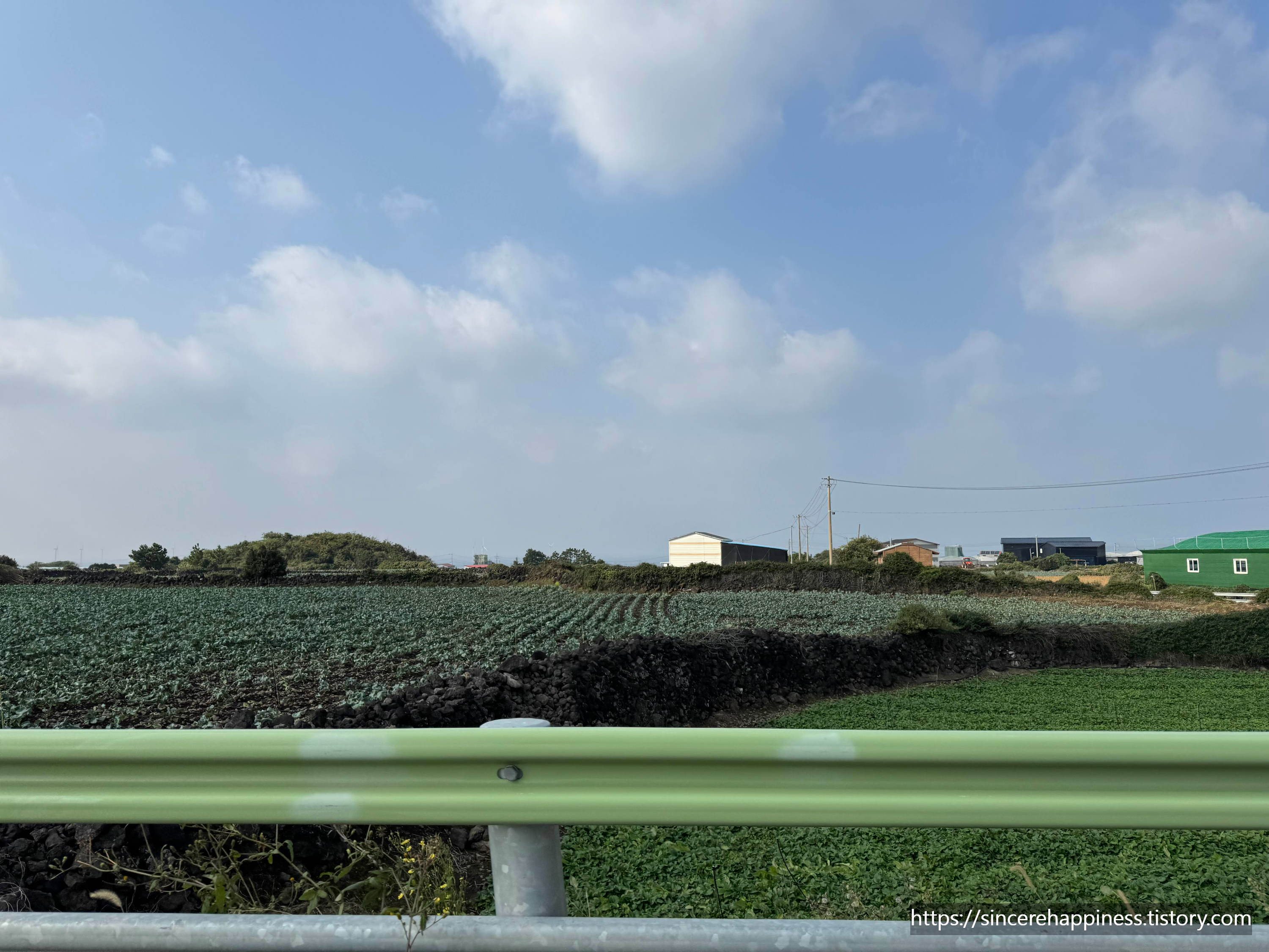 금하순대 대표 사진