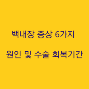  백내장 증상 6가지 알아보기 원인 및 수술 회복기간