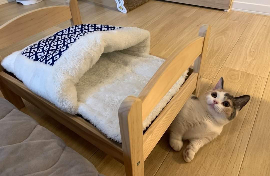  침대사주면 뭐하니