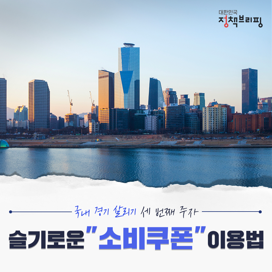  8대 소비쿠폰 이용법