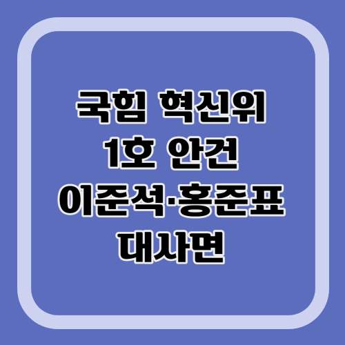 국힘-혁신위-1호안건