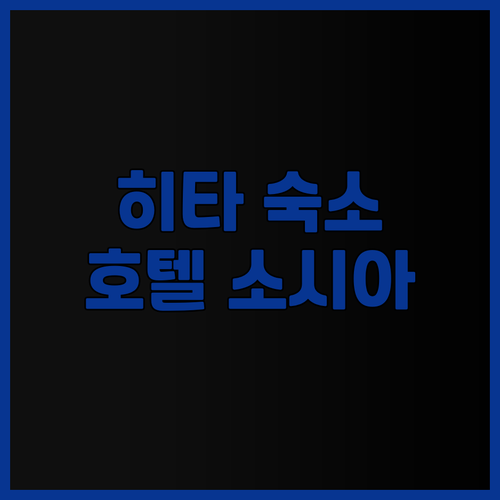 히타 숙소 추천! 호텔 소시아, 오래