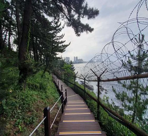 외옹치항