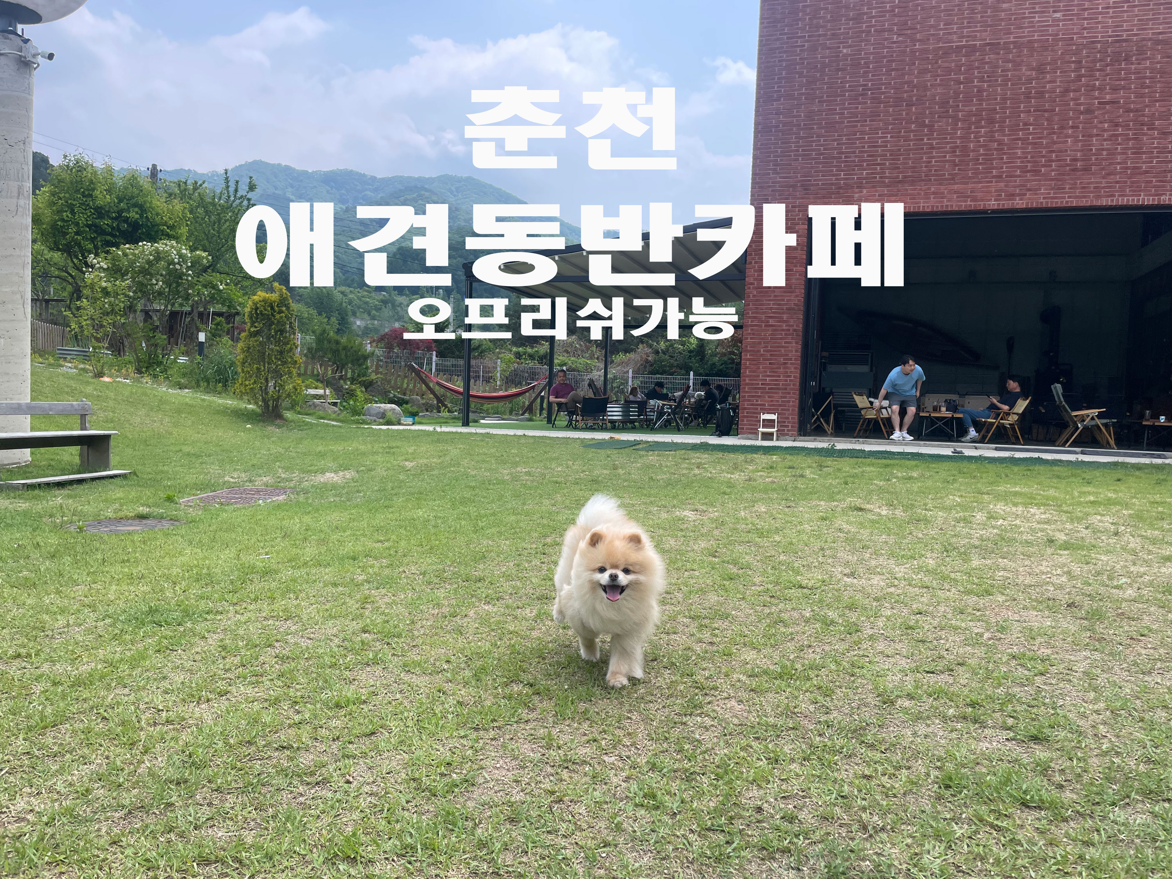 리쉬 이미지