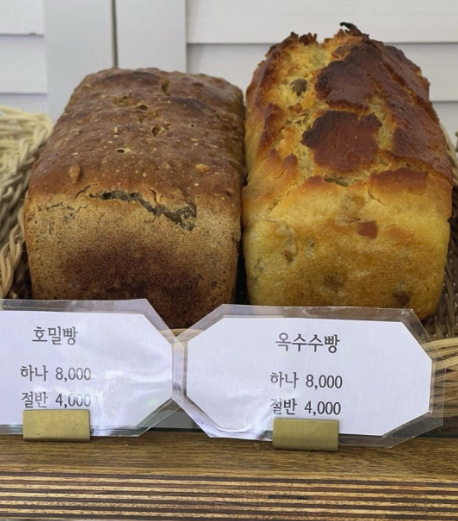 라그노 이미지
