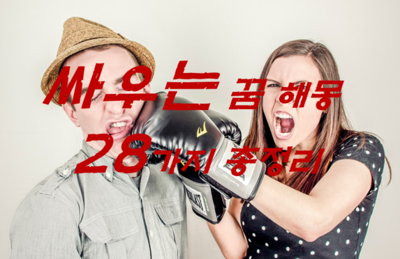  싸우는꿈 해몽 28가지 총정리