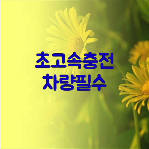 모락 네다 V6 차량용 초고속 충전기