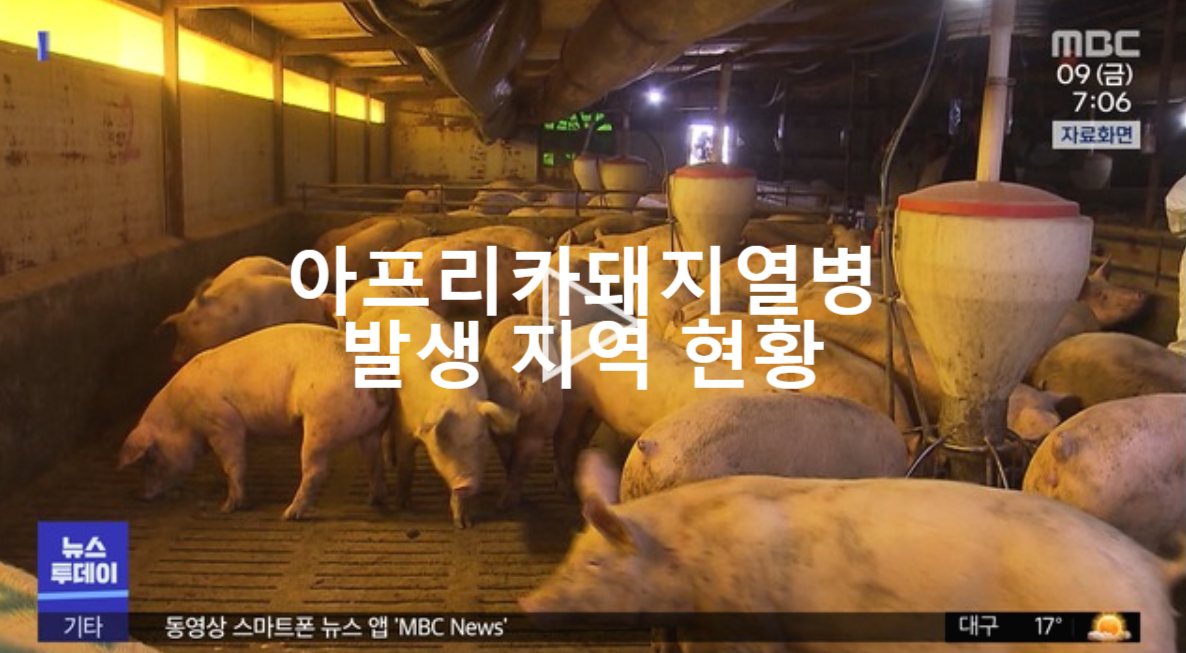  아프리카돼지열병 발생 지역 현황 관련주
