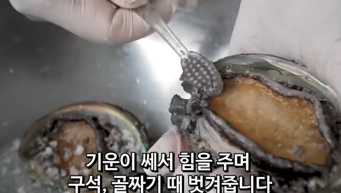 전복손질법