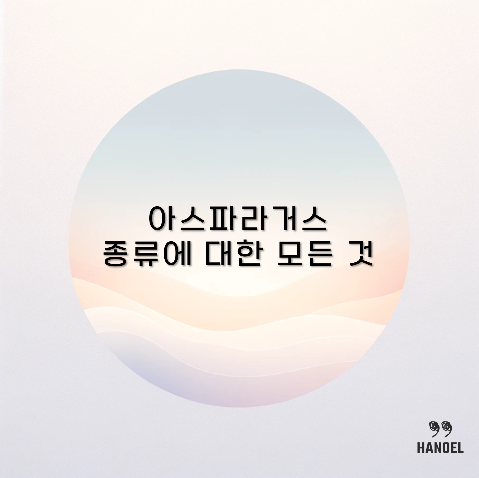 아스파라거스 종류에 대한 모든 것