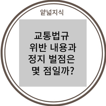  교통법규 위반 내용과 정지 벌점은 몇 점일까? (23년 3월) 위반 별 벌점