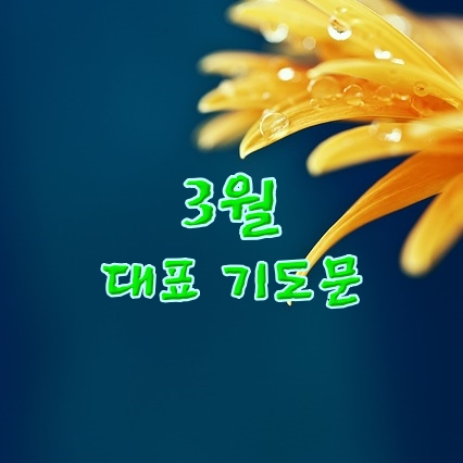 3월 대표 기도문 모음