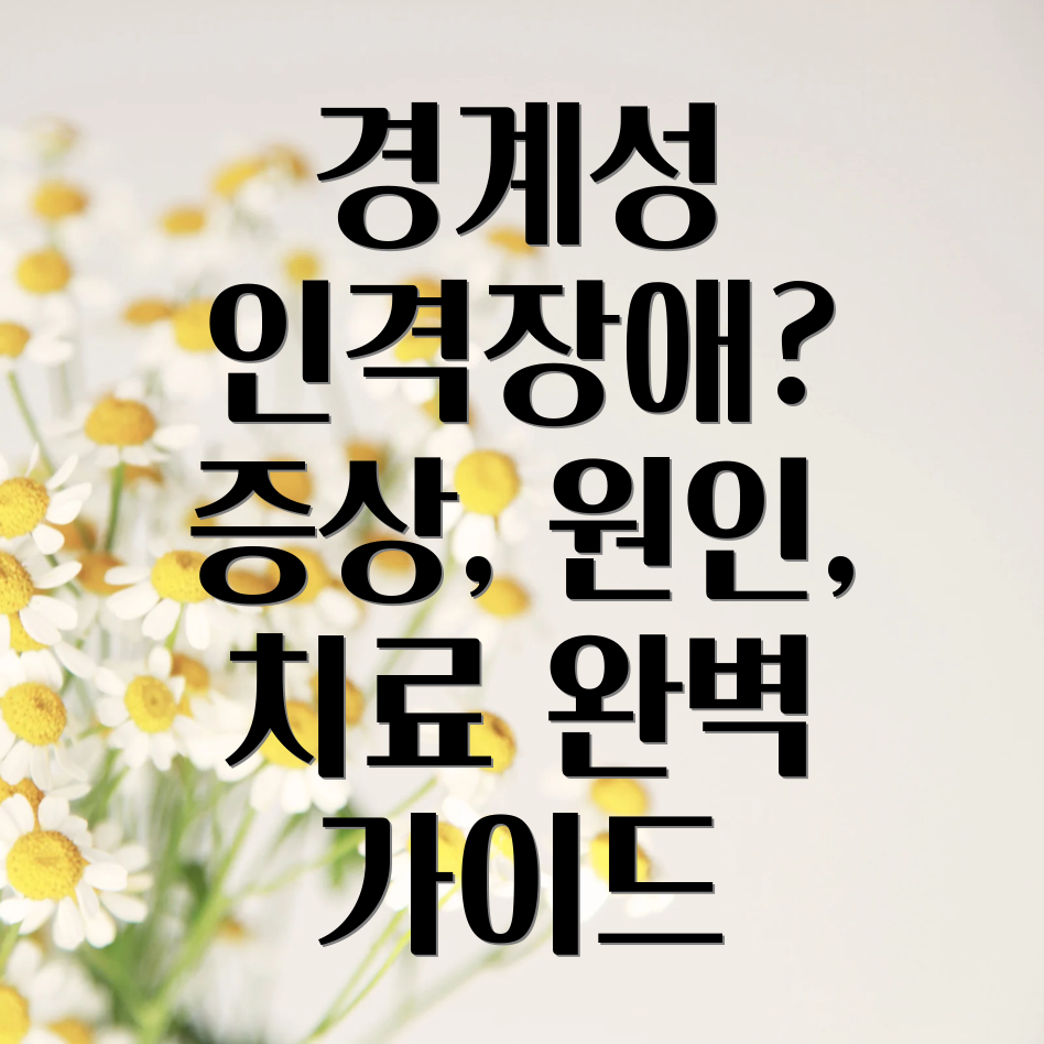 경계성 인격장애