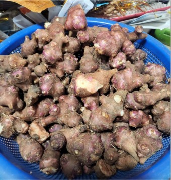 돼지감자 (따탕지)