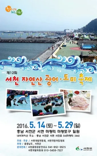 서천 광어 도미 축제에서 제철 맛 체험 완벽 여행 가이드_6