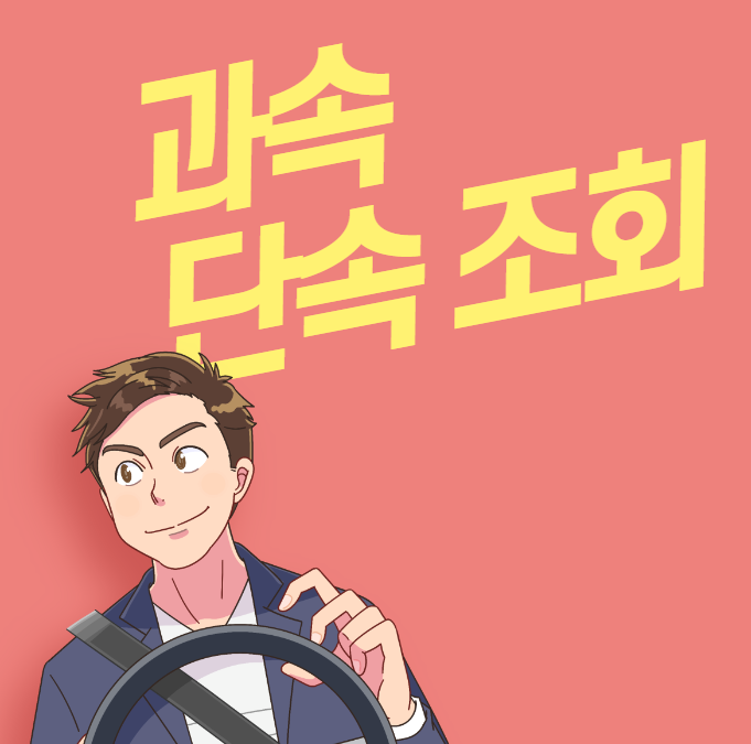  과속 단속 조회 (실시간)