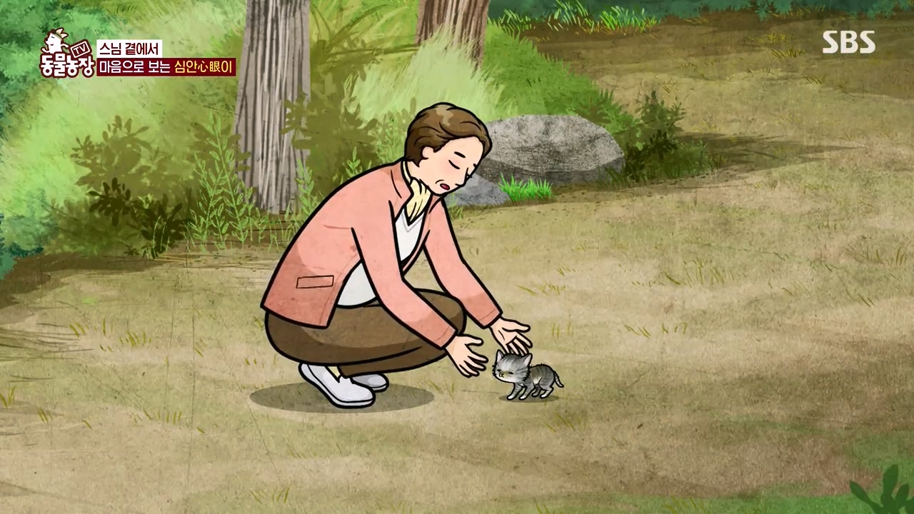 TV 동물농장.E1143.231030p-NEXT.mp4_20231029_161409.746.jpg