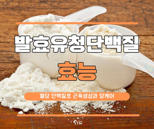 발효유청단백질 효능