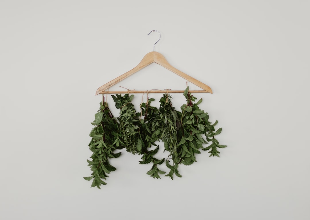 Drying